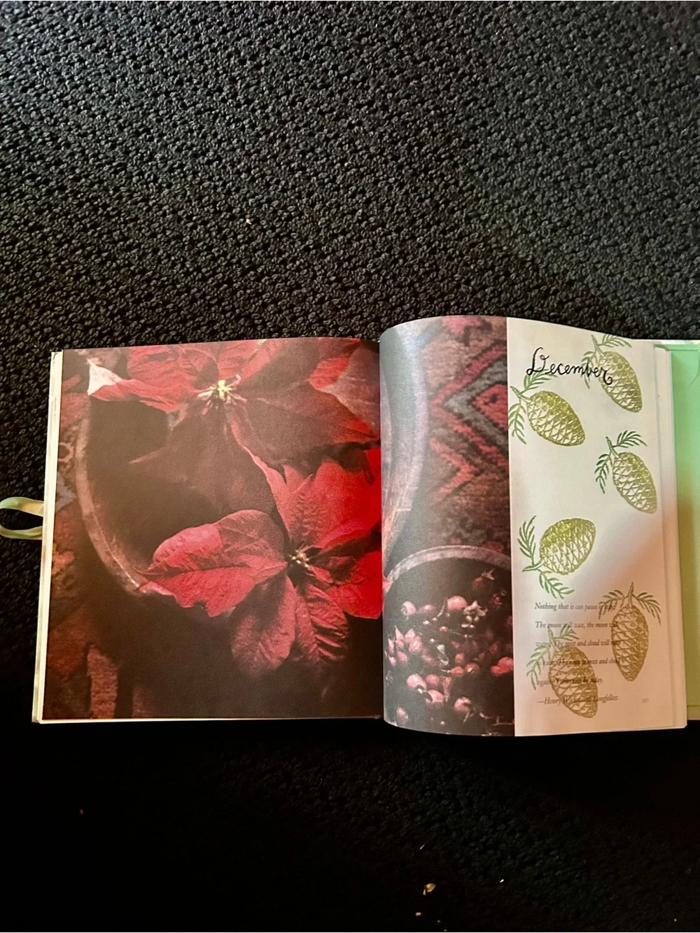 A Gardener's Journal -  Five-Year Record Book